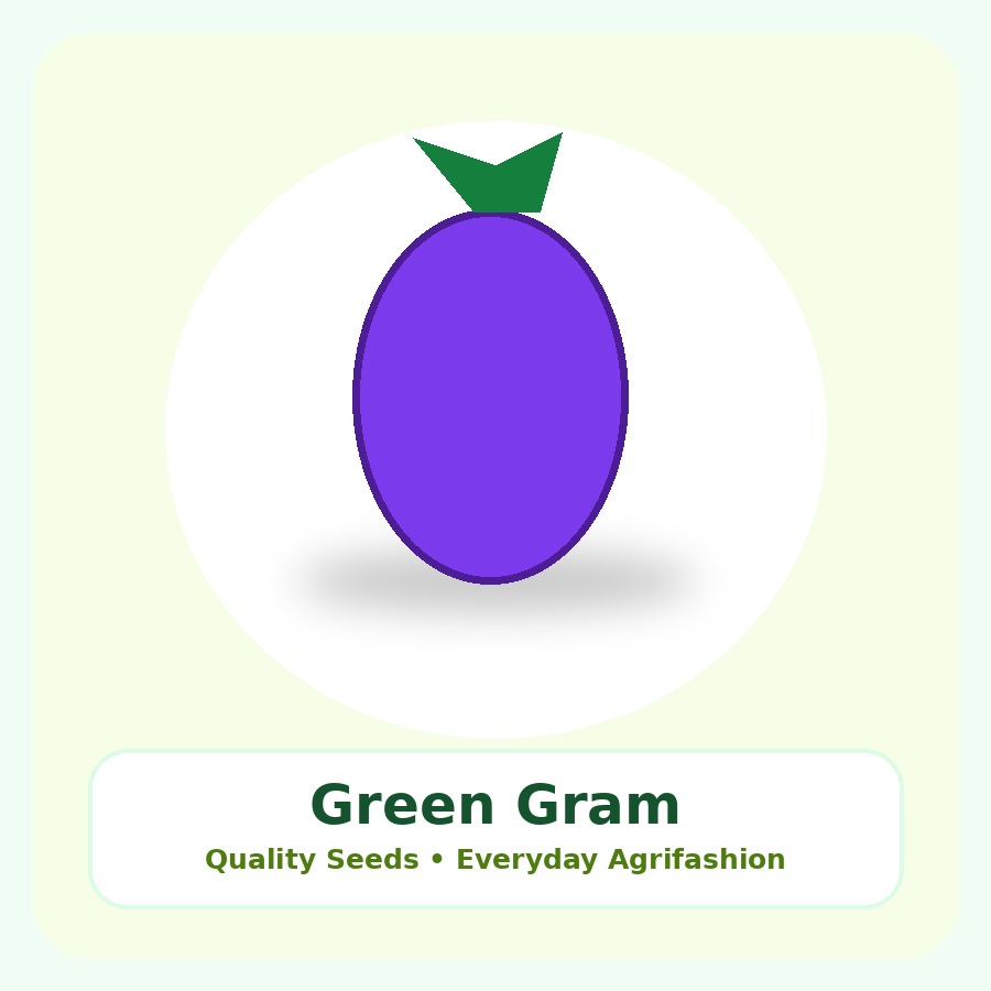 Green Gram Seeds 10kg