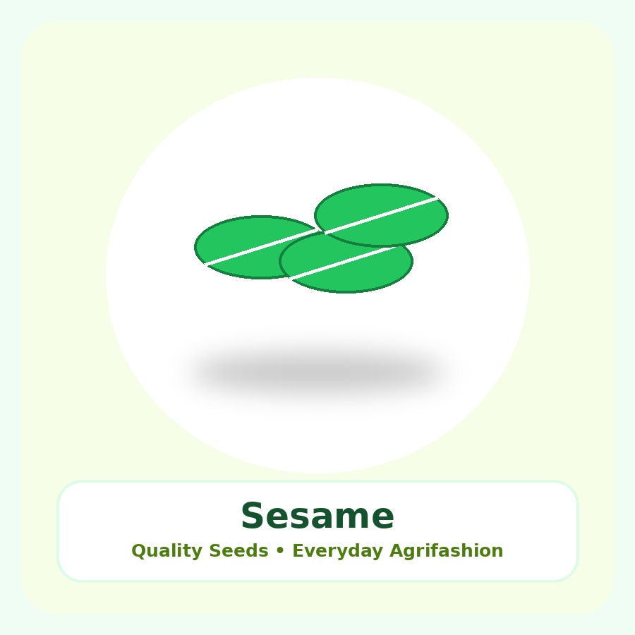 Sesame Seeds 25kg