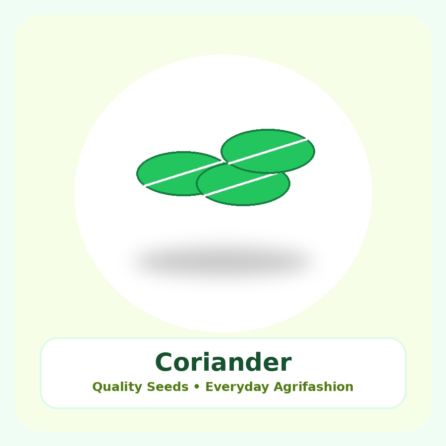 Coriander Seeds 25g