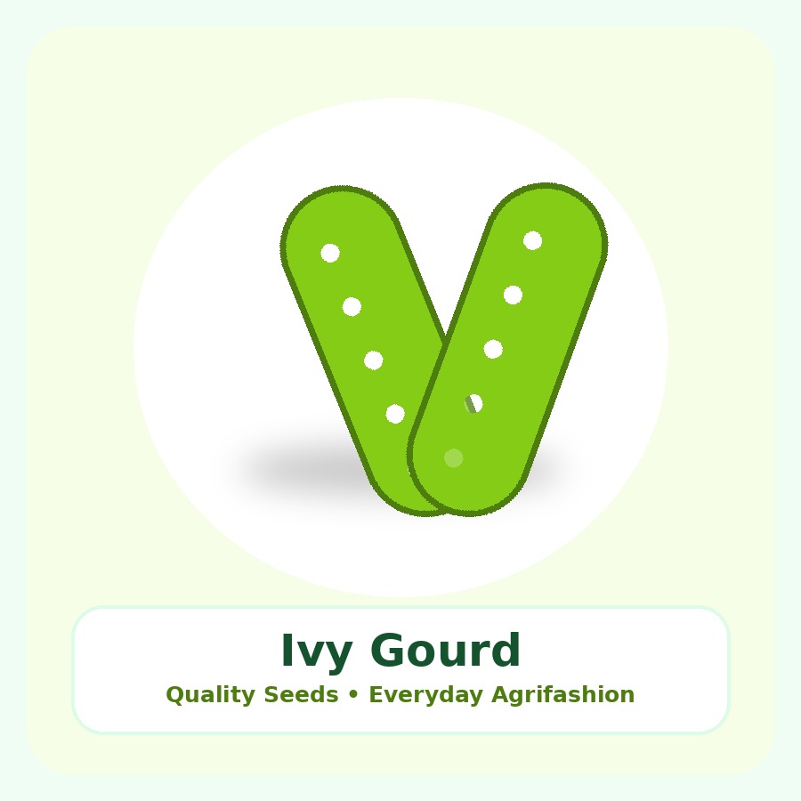 Ivy Gourd Seeds 50g